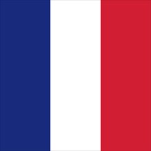 Official national flag of