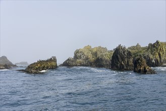 Natural Heritage Site Islotes de Punihuil