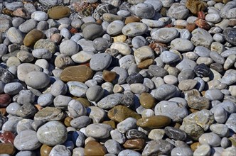 Pebbles on the beach