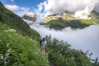 Hiker on hiking trail between flowers climbing the Greifenberg