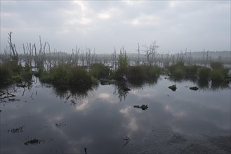 Theikenmeer nature reserve