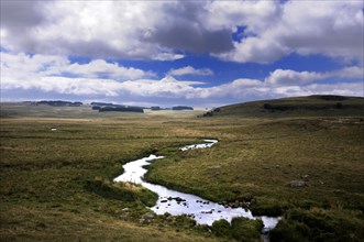 Small stream crossing pasture under a stormy sky