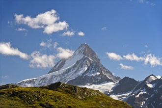 In the hiking area Grindelwald First