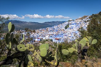 View on Chefchaouen