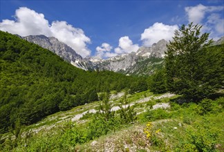 Kukaj Valley with Jezerca