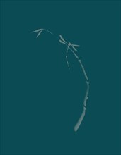 Artistic Japanese Zen illustration design of Dragonfly sitting on young bamboo stalk on dark teal