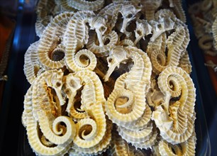 Dried seahorses at the market
