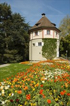 Gardener's tower and blooming tulips