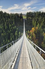 Hanging rope bridge Geierlay