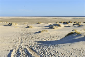 Dune crossing with footprints and Kniepsand to the horizon
