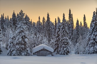 Snow-covered hut in winter landscape