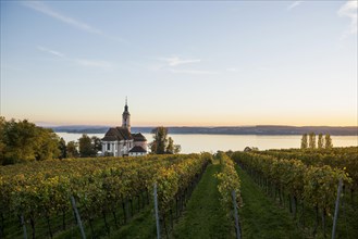 Pilgrimage church Birnau with vineyards in autumn
