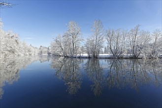 River Loisach with snow-covered trees on the banks