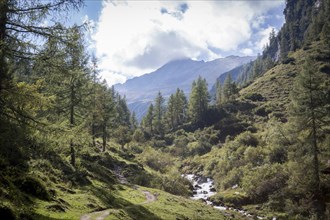 Hiking trail near creek in the Seidwinkl valley