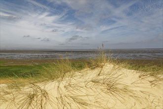 Sand dune at Morsum cliff
