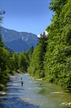 White Traun with fly fisherman at Ruhpolding
