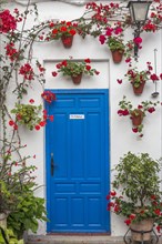 Blue door with red geraniums in flowerpots on a house wall