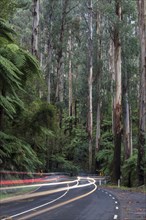 Curvy road with light traces