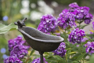 Birdbath in a garden