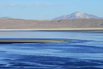 Lagoon on the Altiplano