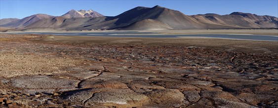 Lagune Salar de Talar mit den Bergen Cerros de Incahuasi