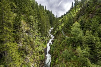 Riesachbach in the Hollschlucht