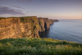 Cliffs of Moher in the evening light