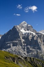 In the hiking area Grindelwald First