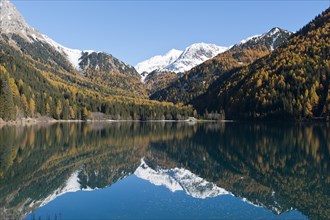 Mountain lake with European larch (Larix decidua) in autumn