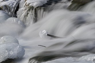Ice-covered stones in the river bed of the Triesting