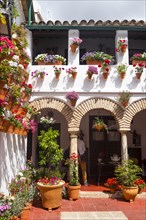 Many flowers in flowerpots in the courtyard on a house wall