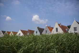 Gables of residential houses behind a green field