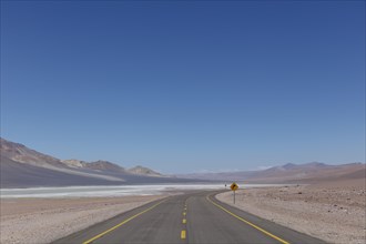 Road leads through Altiplano