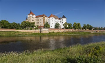 Castle Hartenfels with Elbe