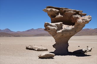 Rock formation Arbol de Piedra