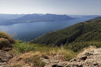View from Monte Morissolo on Lago Maggiore