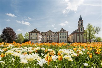 Mainau Castle and Schlosskirche