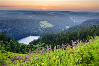 View from Feldberg mountain to lake Feldsee