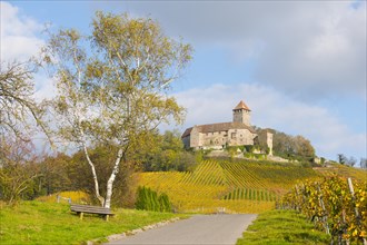 Castle Lichtenberg
