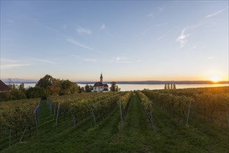 Pilgrimage church Birnau with vineyards in autumn at sunset