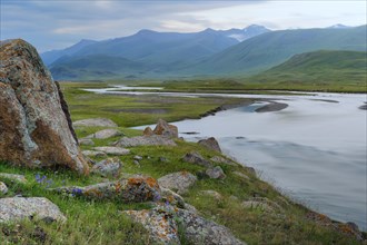 Rocks and Lichens at Naryn River