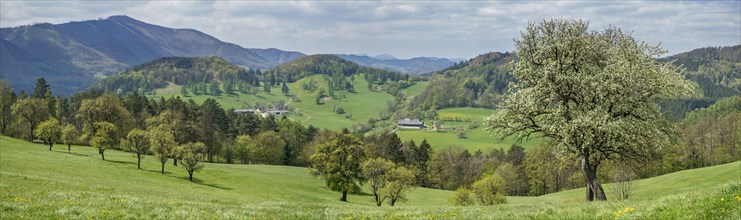 Spring Landscape with mountains Hocheck