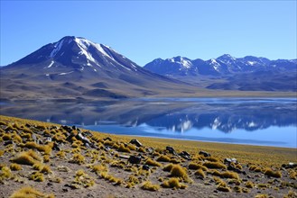 Laguna Miscanti on the Altiplano