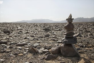 Stone Men in the Stone Desert
