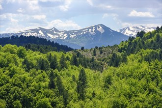 Morava Mountains