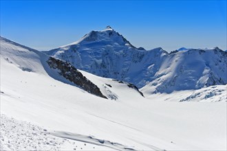 The snow-covered Aletschhorn