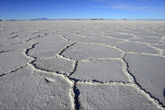 Honeycomb structure on the salt lake
