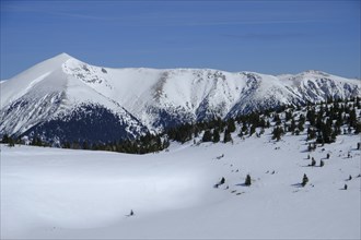 Winter landscape with Schneeberg