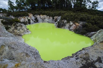Very green acid crater in the Wai-O-Tapu Volcanic Wonderland