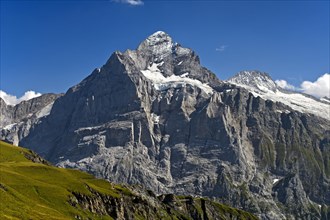 In the hiking area Grindelwald First
